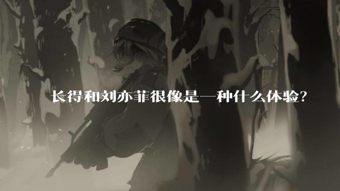 长得和刘亦菲很像是一种什么体验?