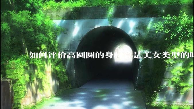 如何评价高圆圆的身材算是美女类型的吗?