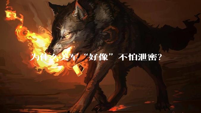 为什么美军“好像”不怕泄密?
