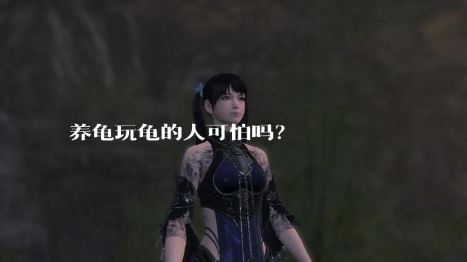 养龟玩龟的人可怕吗?