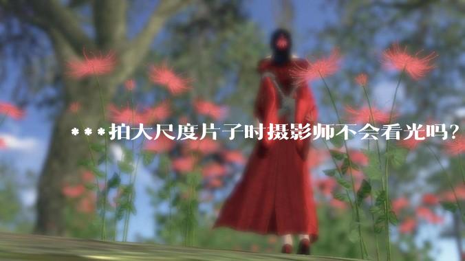 ***拍大尺度片子时摄影师不会看光吗?