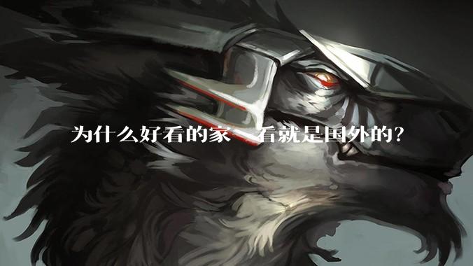 为什么好看的家一看就是国外的?