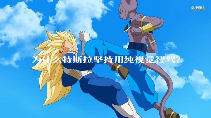 为什么特斯拉坚持用纯视觉智驾?
