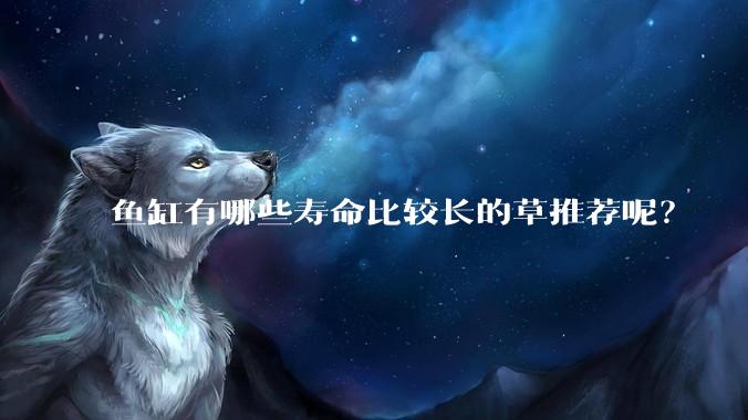 鱼缸有哪些寿命比较长的草推荐呢?