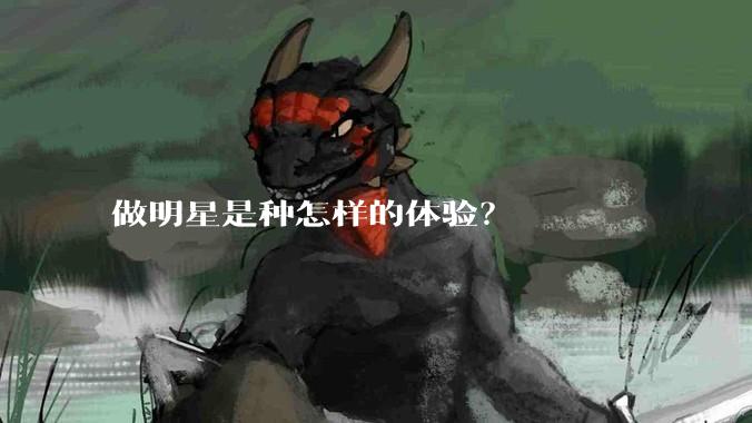 做明星是种怎样的体验?