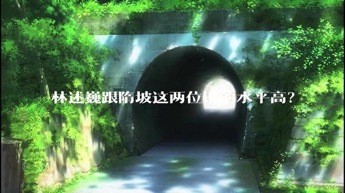 林述巍跟隋坡这两位谁的水平高?